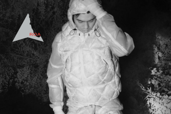 Image2